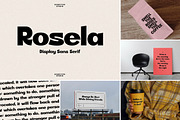 SALE! Stylish Sans Serif Font Bundle, a Sans Serif Font by Storytype Studio (Thumbnail 14 of 17)