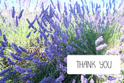 LeLavandou hand drawn Sans Serif, a Sans Serif Font by Contes_de_fée (Thumbnail 9 of 9)