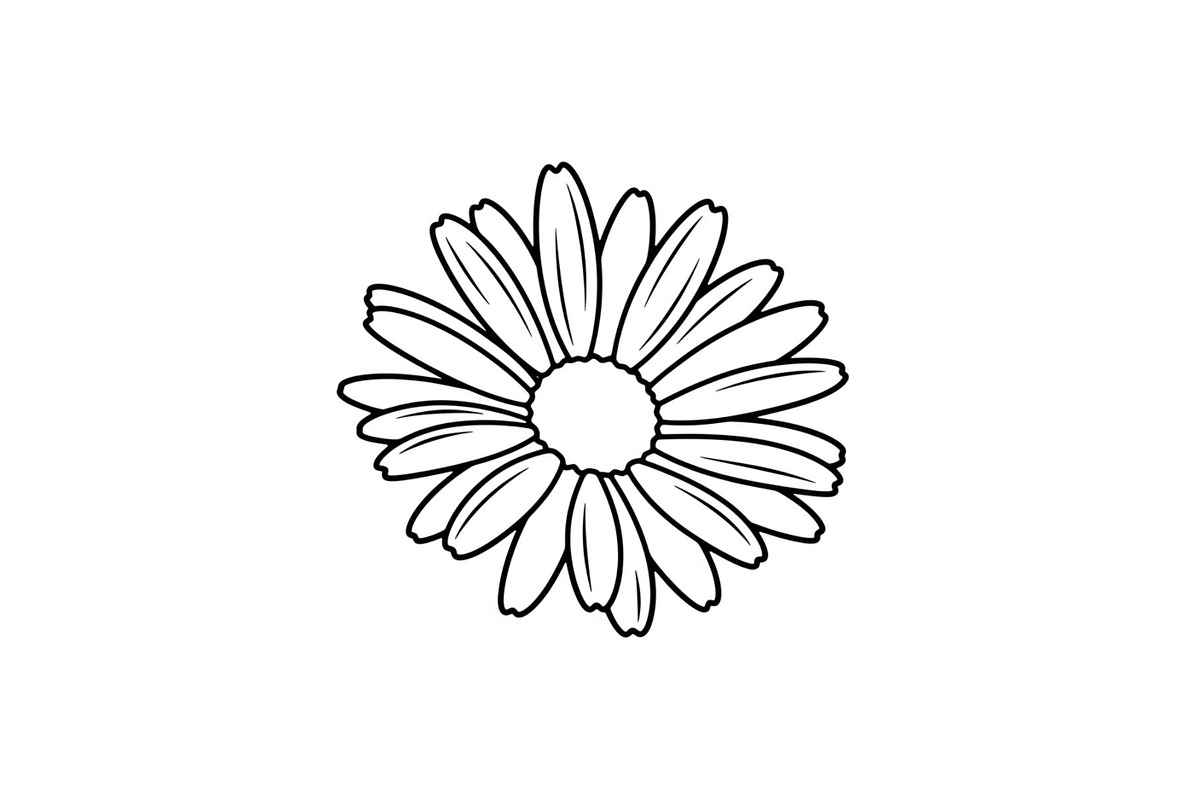 Daisy Flower Line Art Vector Bundle0, an Illustration by jahid234 (Photo 26 of 51)