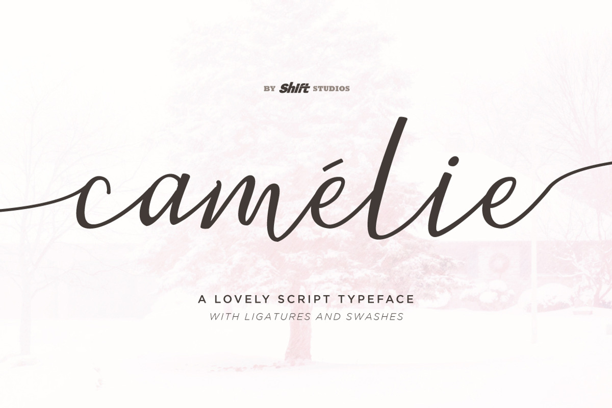 Handwritten Font Bundle, a Script Font by Shift Studios (Photo 12 of 18)