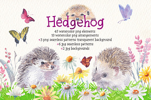 Hedgehog Watercolor Clipart