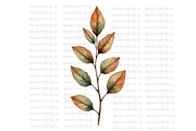 Dried Eucalyptus Branches, a Decorative Illustration by Bloom Craft Creations (Thumbnail 7 of 10)