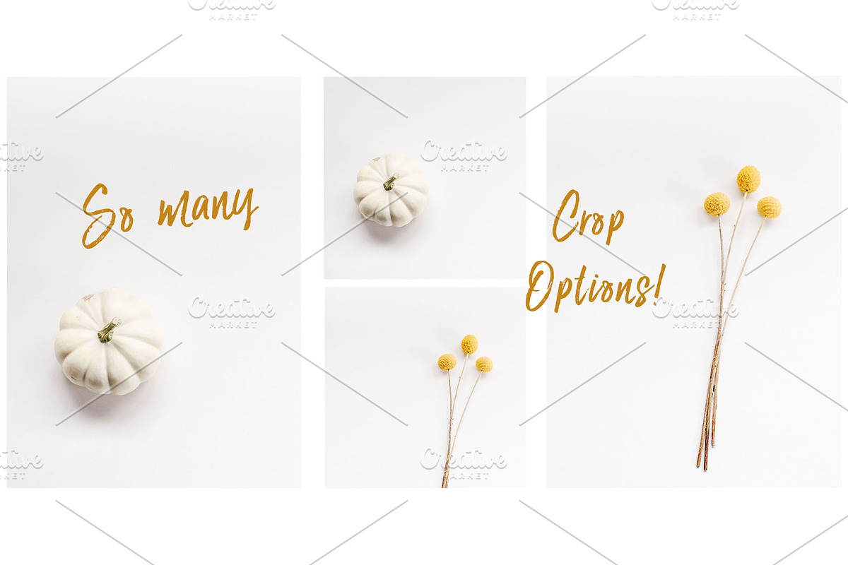 White October - Styled Stock Photo, a Background Photo by SunnyTangerine Stock (Photo 3 of 3)