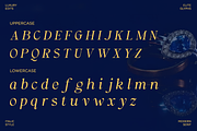 Elegant Serif - Qurellia Salesta, a Serif Font by Say Studio (Thumbnail 11 of 16)