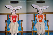 EKTACHROME LIGHTROOM PRESETS, a Preset Add-On by Victoria Bee Presets (Thumbnail 5 of 10)