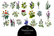 Watercolor medicinal herbs, an Illustration by Tatiana Davidova (Thumbnail 3 of 5)