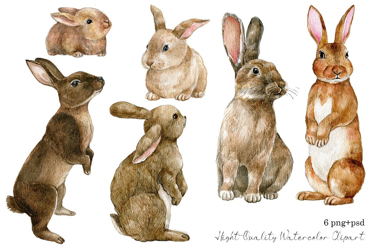 Watercolor brown rabbit clipart set, an Animal Illustration by yana.fefelova (Photo 2 of 4)
