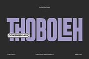Thoboleh - Condensed Sans Serif, a Sans Serif Font by Flawless And Co (Thumbnail 1 of 10)