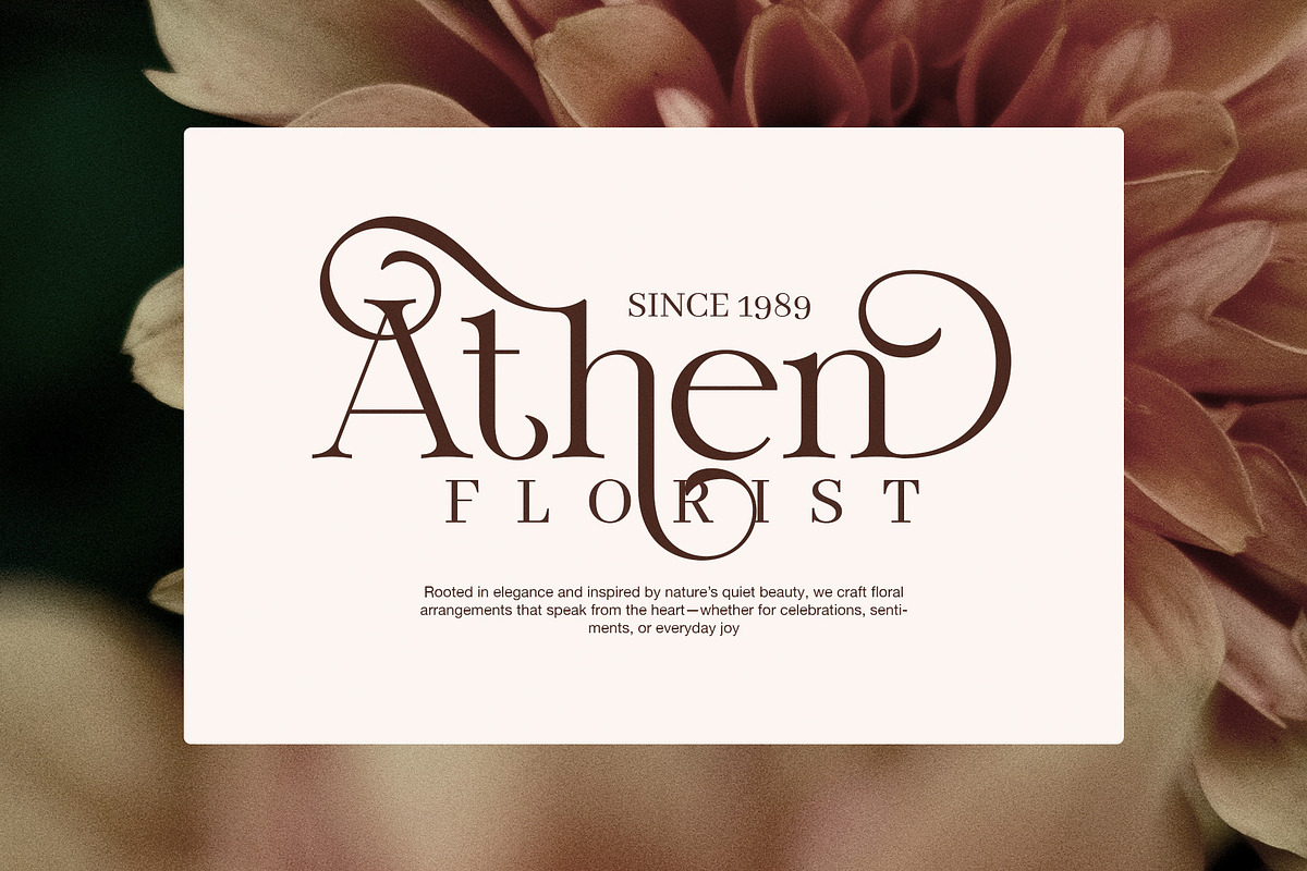 Stimer Dream Elegant Serif Font, a Serif Font by Elegant Font (Photo 6 of 8)