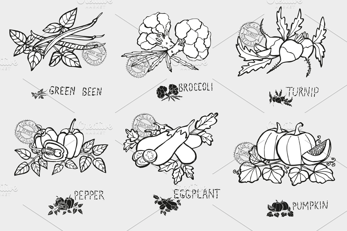 Vegetables Set(2), a Food Illustration by Sunset&Sea Design