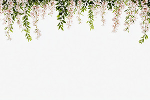 Delicate hanging pink cherry blossom, a Nature Photo by MistyDay