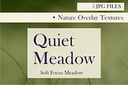 Quiet Meadow — Soft Focus Meadow, a Background Graphic by Aga Silva (Thumbnail 4 of 5)