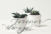 Thelma, a Script Font by Dira Studio (Thumbnail 5 of 5)