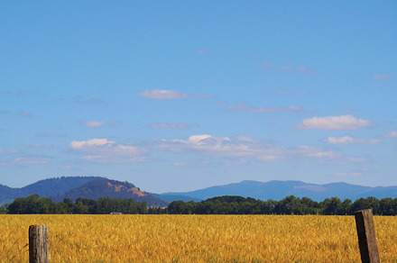 Clear Sky Field