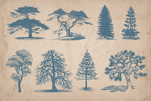 Vintage Illustrations - Trees