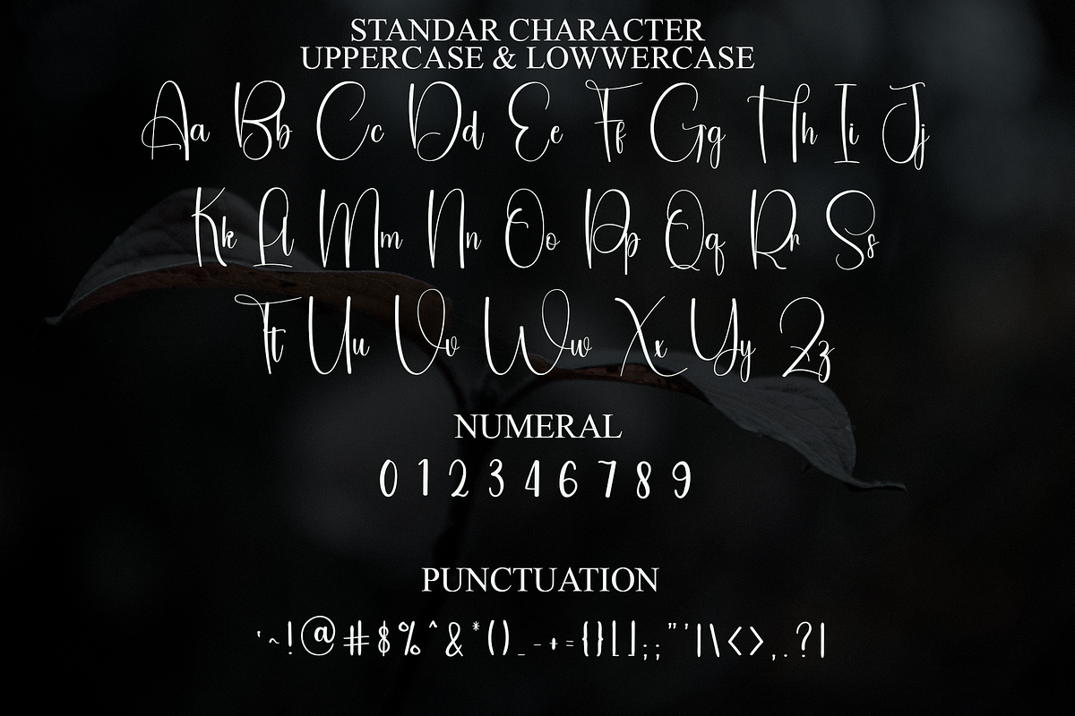 Freshtea, a Handwritten Font by FreshTypeINK (Photo 4 of 8)