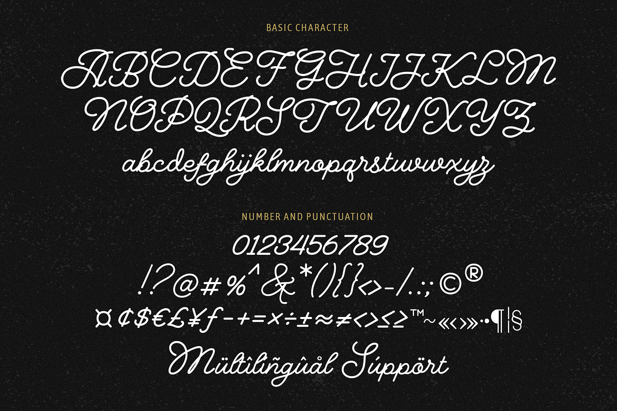 Bernadyans - Monoline Script Font, a Script Font by Inviline.co (Photo 3 of 12)