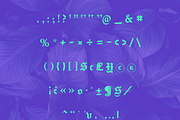 Metur Blackletter Font, a Blackletter Font by Creative Foundry (Thumbnail 7 of 8)