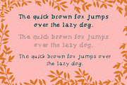 LAFOLOs Fancy Font, a Handwritten Font by LAFOLO (Thumbnail 5 of 7)