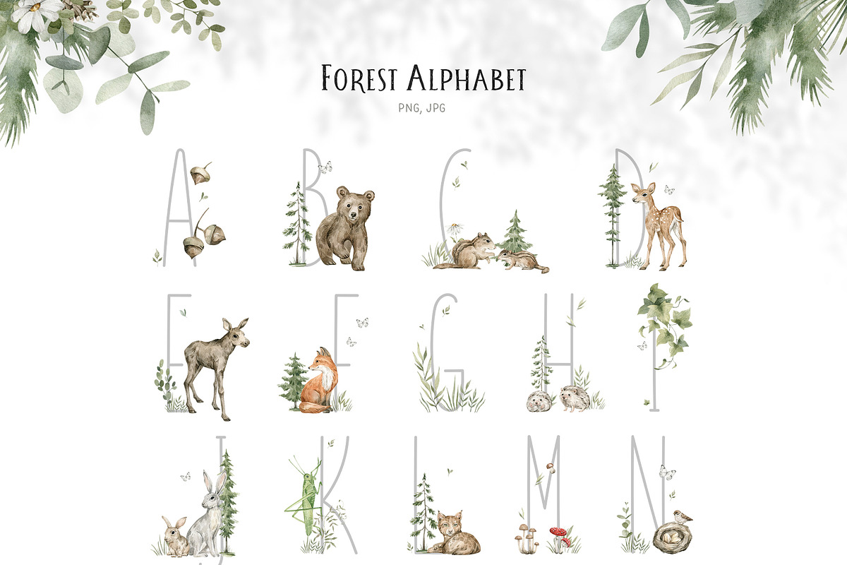 Forest Babies. Wild Animals clipart, an Animal Illustration by Kreker Kate (Photo 7 of 12)