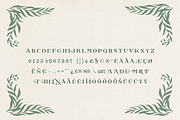 Falconette Font, a Font by Antiquaria (Thumbnail 6 of 7)