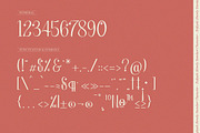 Enfiyali Alovelly Love Modern Script, a Script Font by Denustudios (Thumbnail 11 of 13)