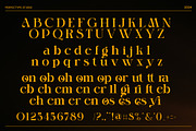Monigk Ones Elegant Serif Font, a Serif Font by Perfectype (Thumbnail 8 of 8)