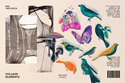 Raw Instincts Collage, an Object Graphic by nadispasibenko (Thumbnail 11 of 12)