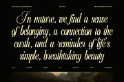 Arvina Wedding Script Font, a Script Font by Elegant Font (Thumbnail 4 of 8)