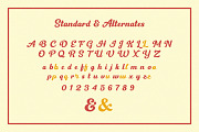 Frunch, a Script Font by Nasir Udin (Thumbnail 7 of 8)