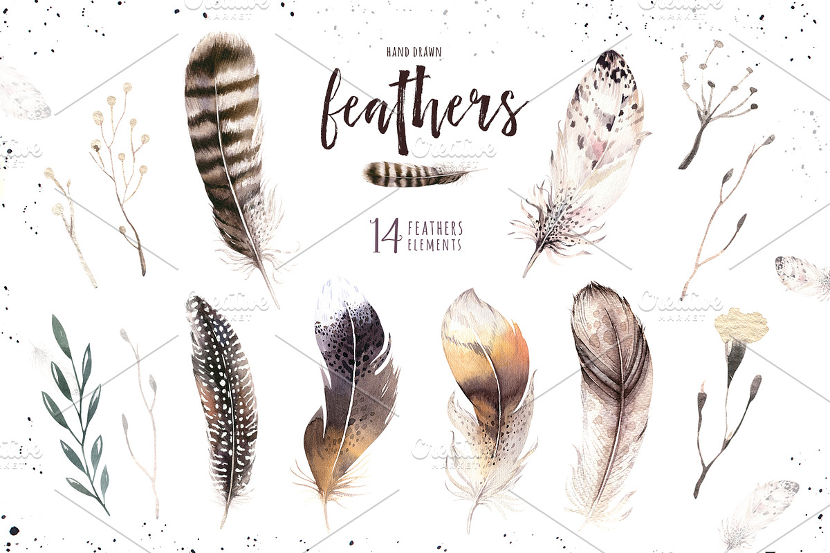 Watercolor owl & feathers collection, a Decorative Illustration by ...