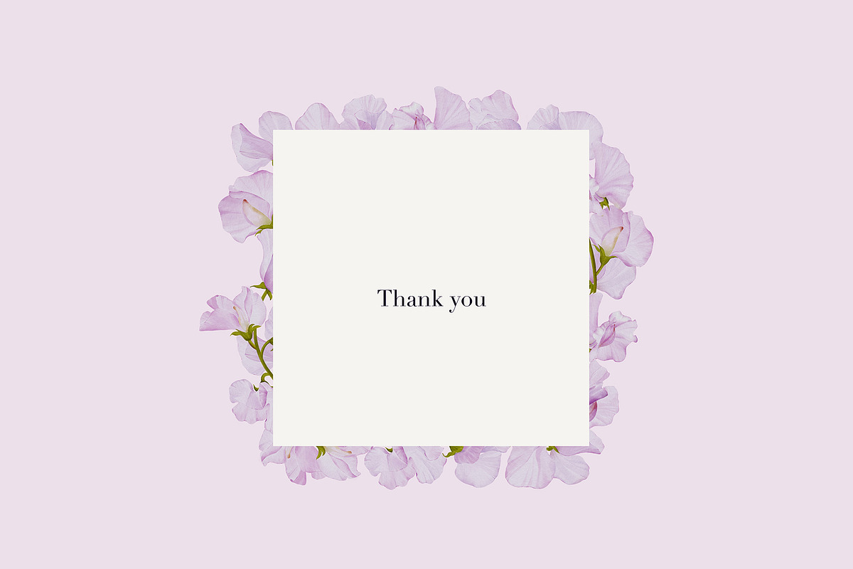 30% Off - Sweet Pea Watercolor, an Object Graphic by bloomscape (Photo 13 of 13)