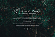 175 Summer Tones Lightroom Presets, an Action Add-On by Pro Add-Ons (Thumbnail 2 of 26)