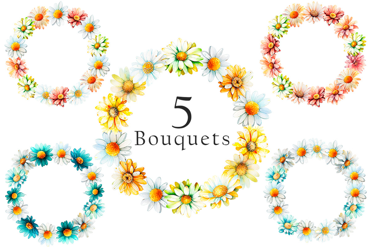 Watercolor Daisies Flowers Clipart, an Object Illustration by Evgeniia (Photo 6 of 8)
