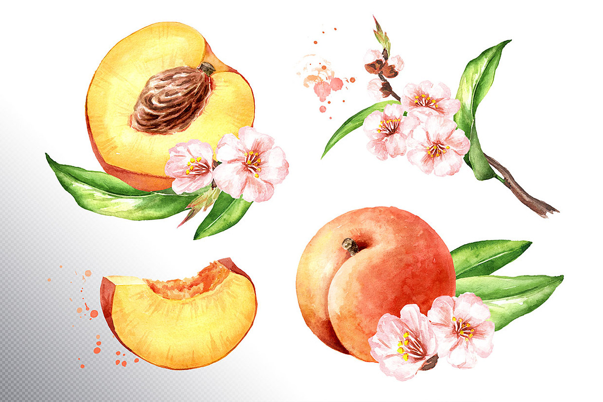 Honey Peaches. Original Watercolor, a Food Illustration by Daria Ustiugova (Photo 4 of 21)