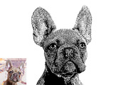 Dog Photo to Tracing Action, an Action Add-On by Photoshop Action (Thumbnail 4 of 10)