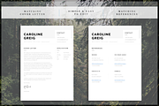 Professional Resume, a Resume Template by introDuice - CV / Resumes (Thumbnail 4 of 6)