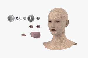 Natural Female Head 01 Generic Mesh