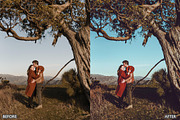 Spring Brown Tone Lightroom Presets, a Preset Add-On by AAA Presets (Thumbnail 12 of 18)