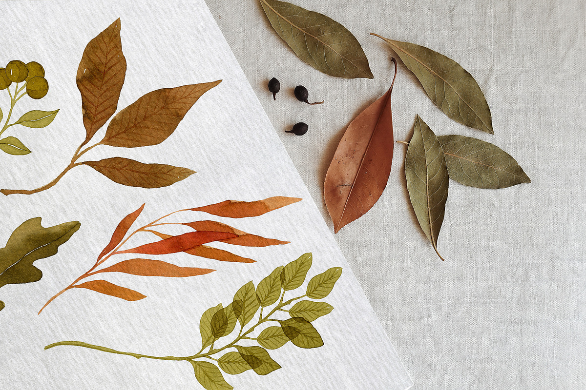 Watercolor Autumn Leaves Bundle, an Illustration by Helga Wigandt (Photo 6 of 18)