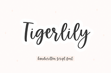 Tigerlily | Handwritten Script Font