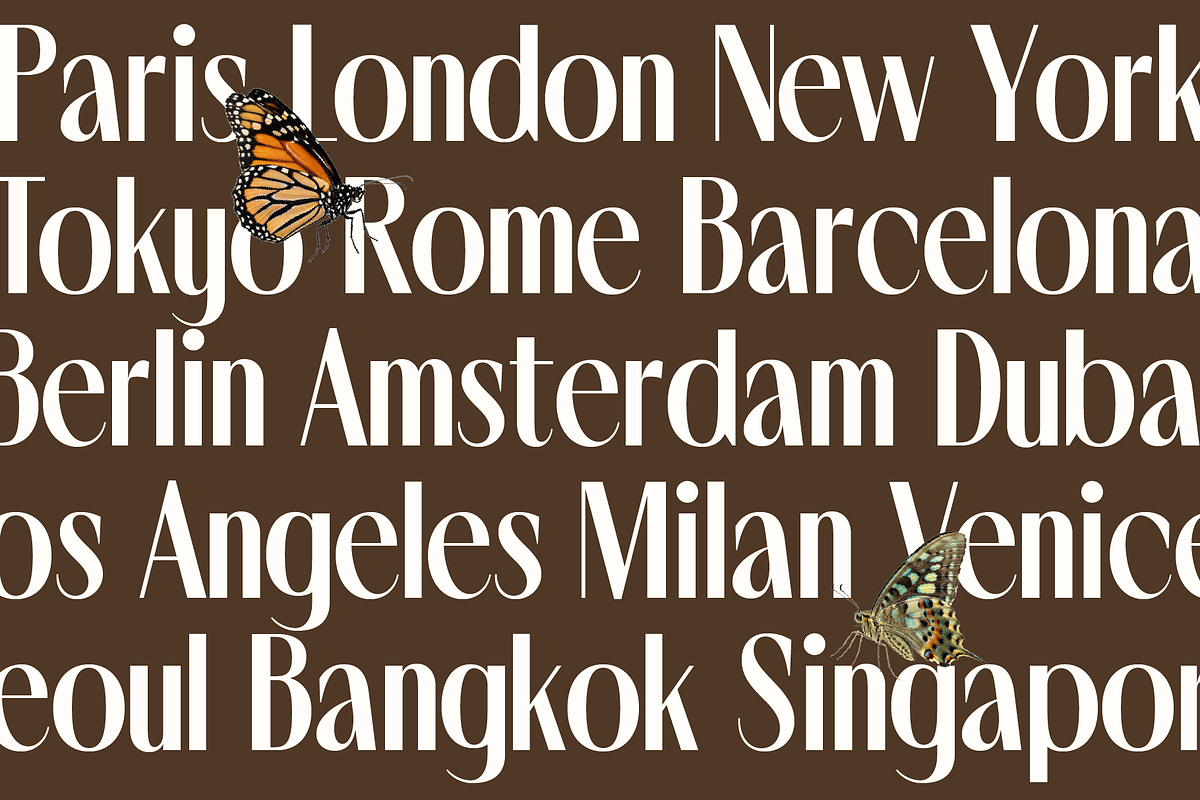 Noserta | Modern Sans, a Sans Serif Font by Jolicia Type (Photo 13 of 14)