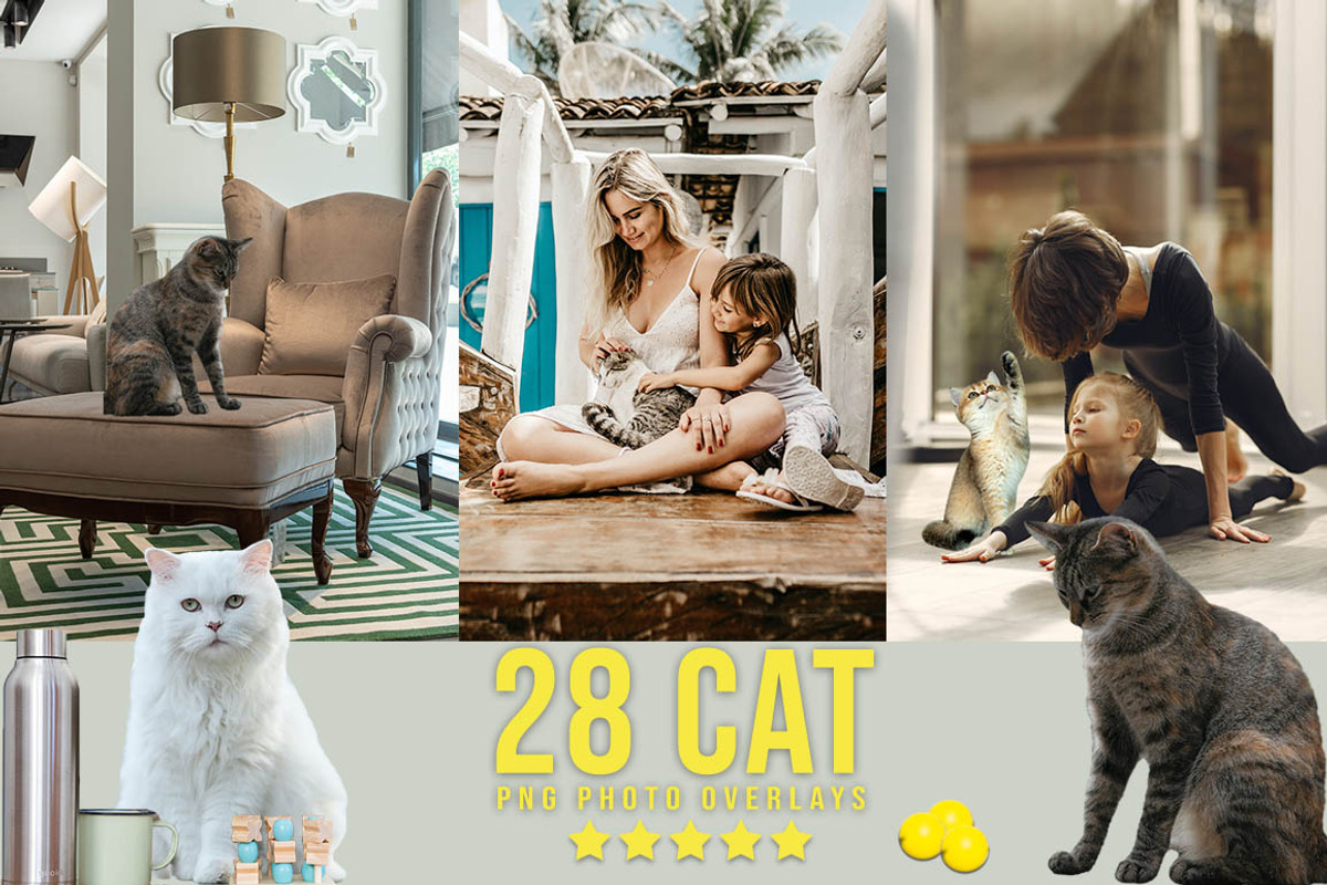3300+ Photo Overlays Bundle+FREE Act, an Action Add-On by Jacpot007 (Photo 13 of 54)