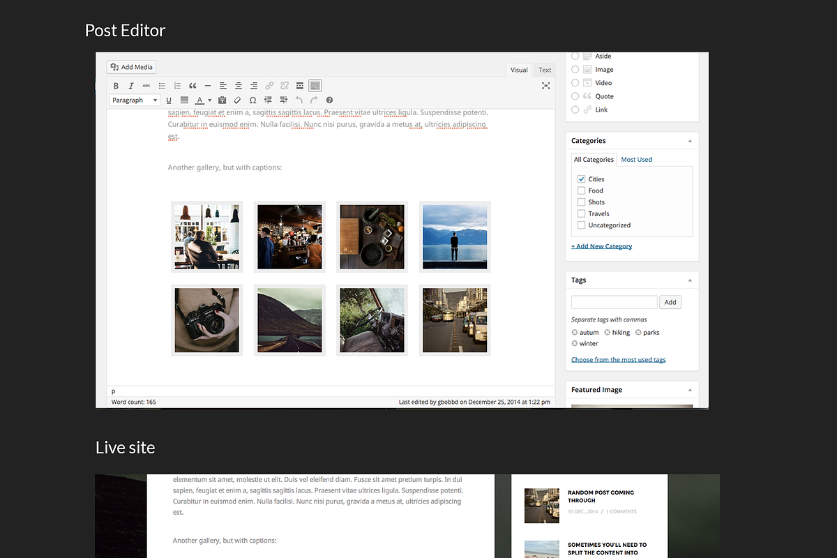 Travlog - A Traveler Blogging Theme, a WordPress Template by gbobbd (Photo 2 of 2)