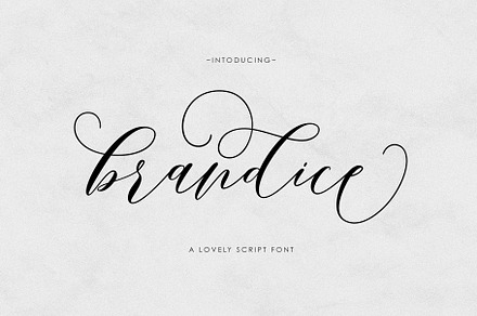 Brandice Script