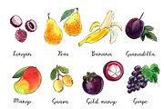 Food watercolor. Fruits and berries, a Food Illustration by irina.vaneeva (Thumbnail 8 of 10)