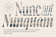Writer’s Mark Display (81 Fonts), a Serif Font by Positive TypeFoundry (Thumbnail 2 of 15)