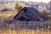 14 Landscape Sensation Presets, a Preset Add-On by Timeless Presets (Thumbnail 6 of 13)