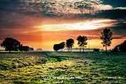 Premium Cinematic PS Actions, an Action Add-On by Prixel Creative (Thumbnail 5 of 5)
