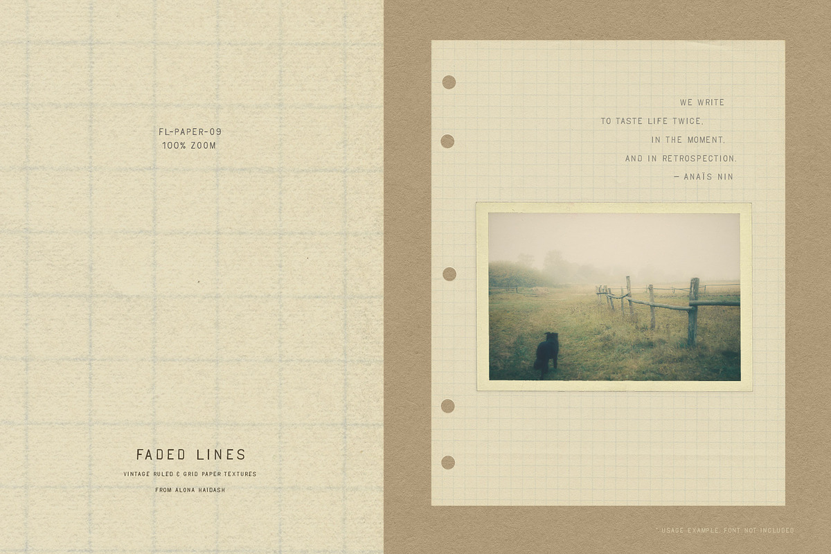 Vintage Ruled & Grid Paper Textures, a Texture Graphic by alonahaidash (Photo 3 of 15)
